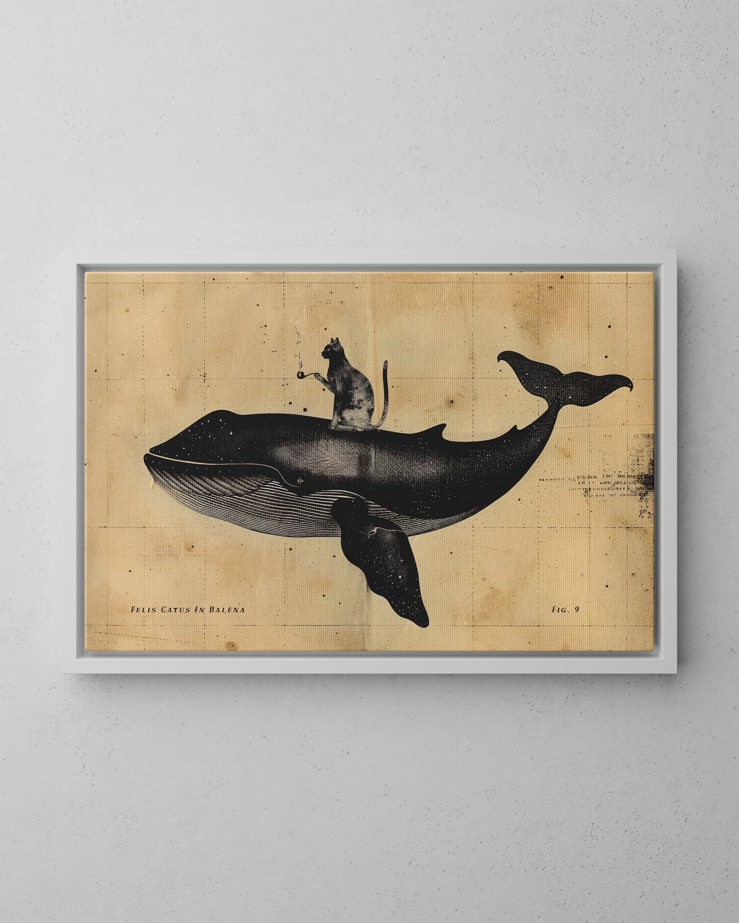 Framed Canvas - Cat Rides Whale Theory