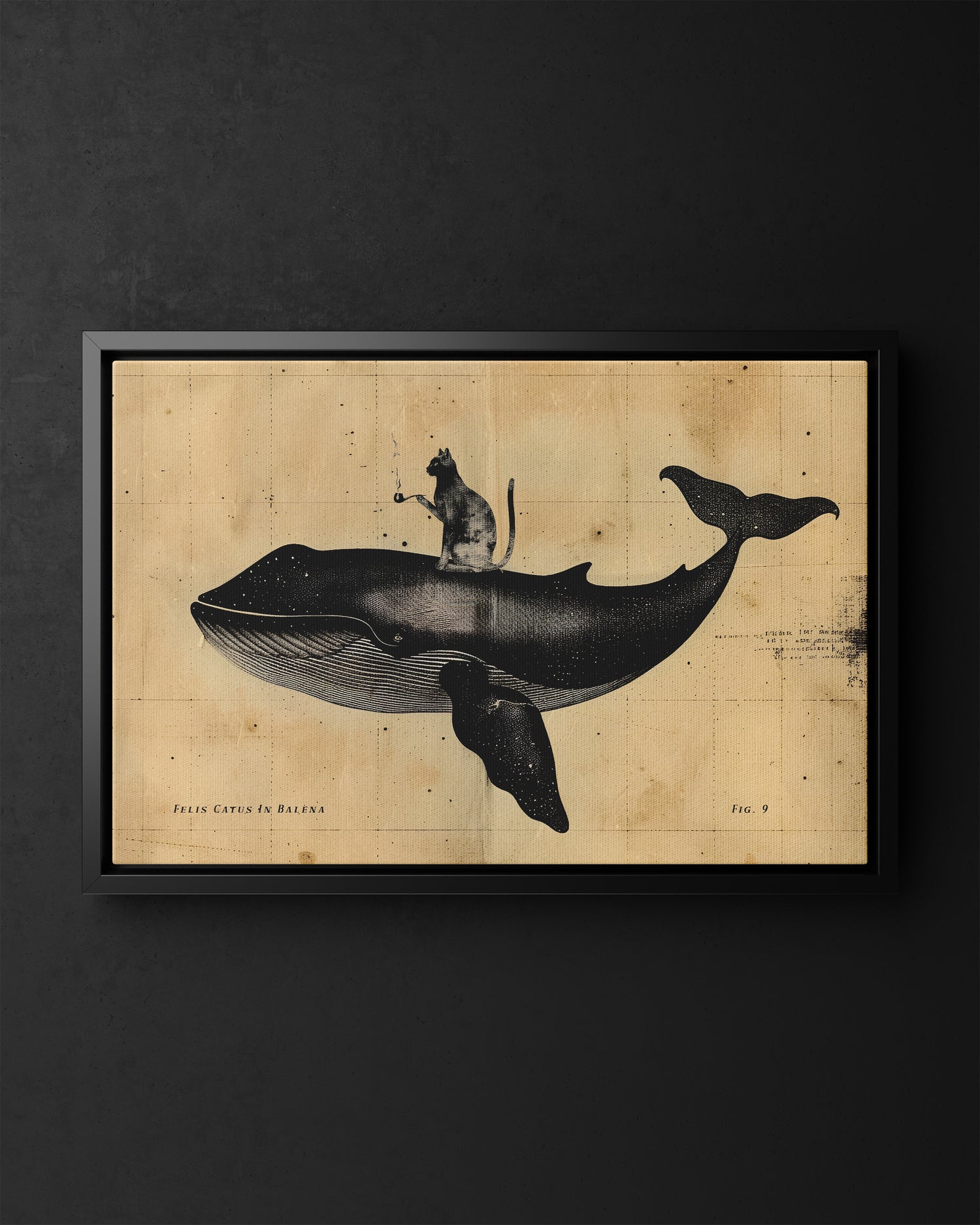 Framed Canvas - Cat Rides Whale Theory