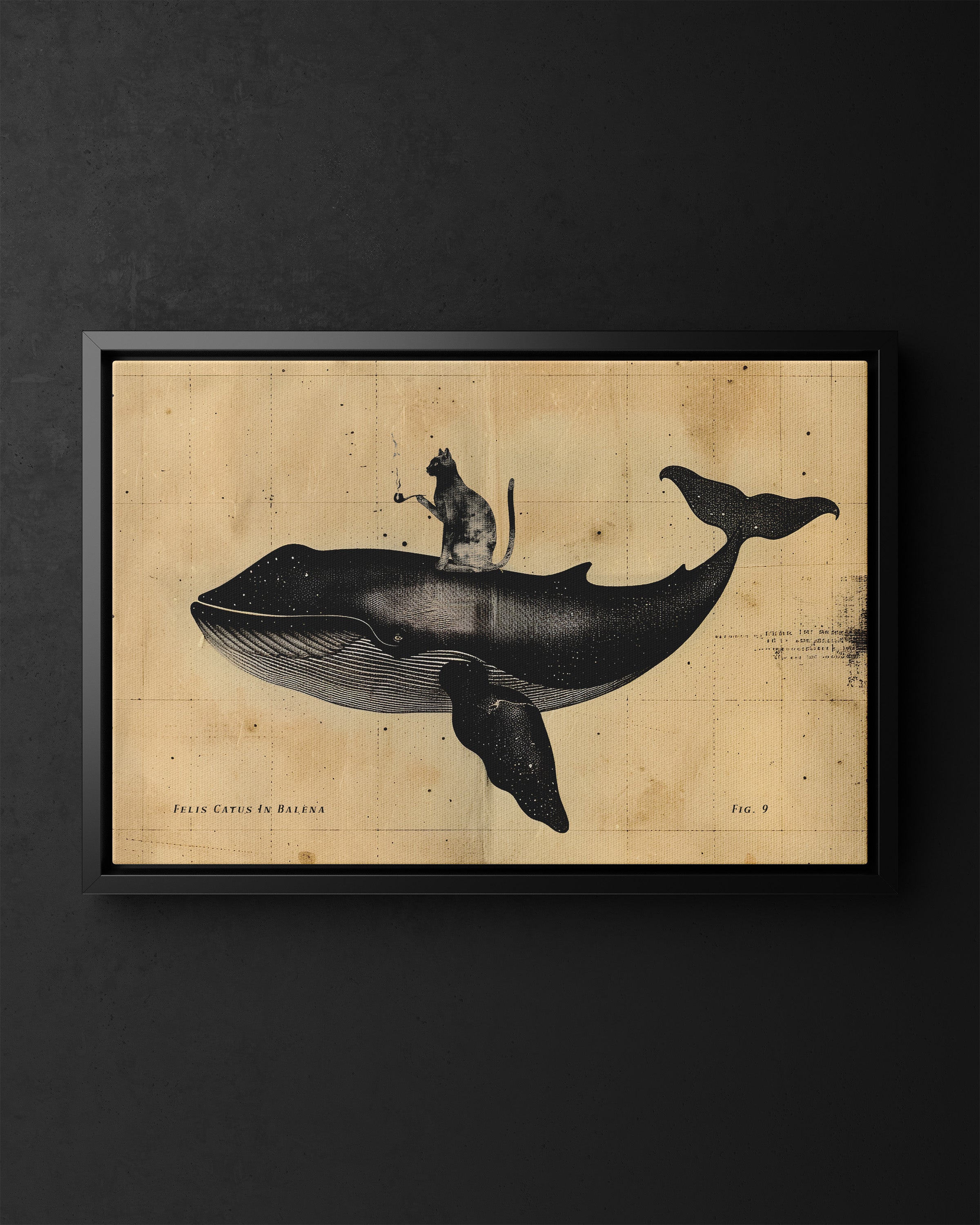 Framed Canvas - Cat Rides Whale Theory