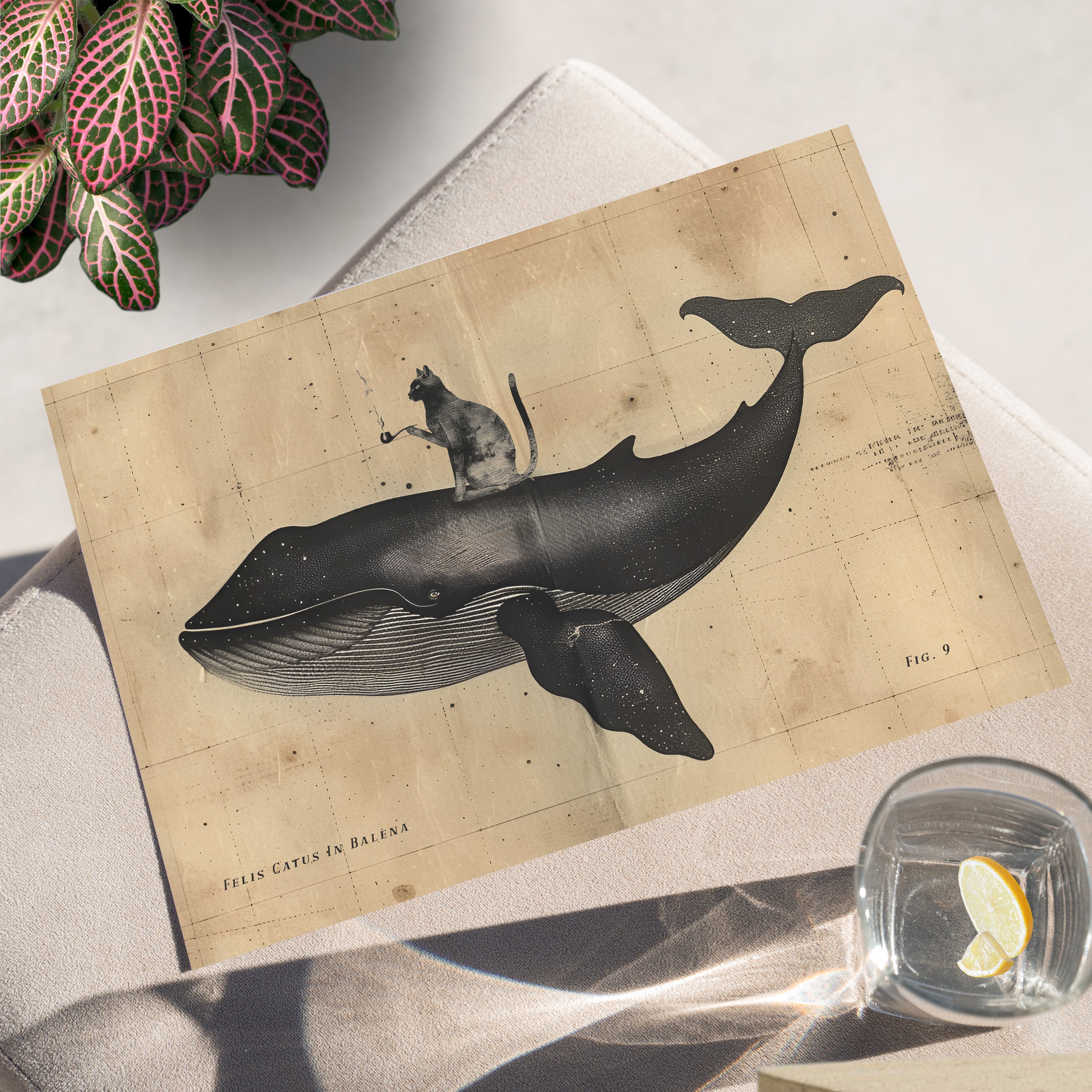 Cat Rides Whale Theory