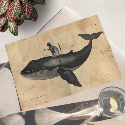 Cat Rides Whale Theory