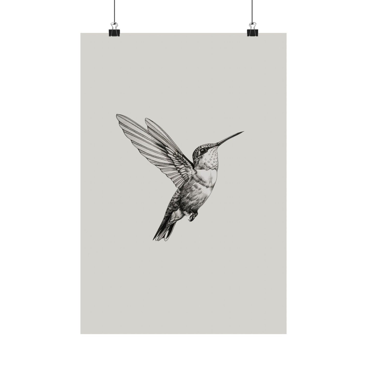 Flying Hummingbird Line Study