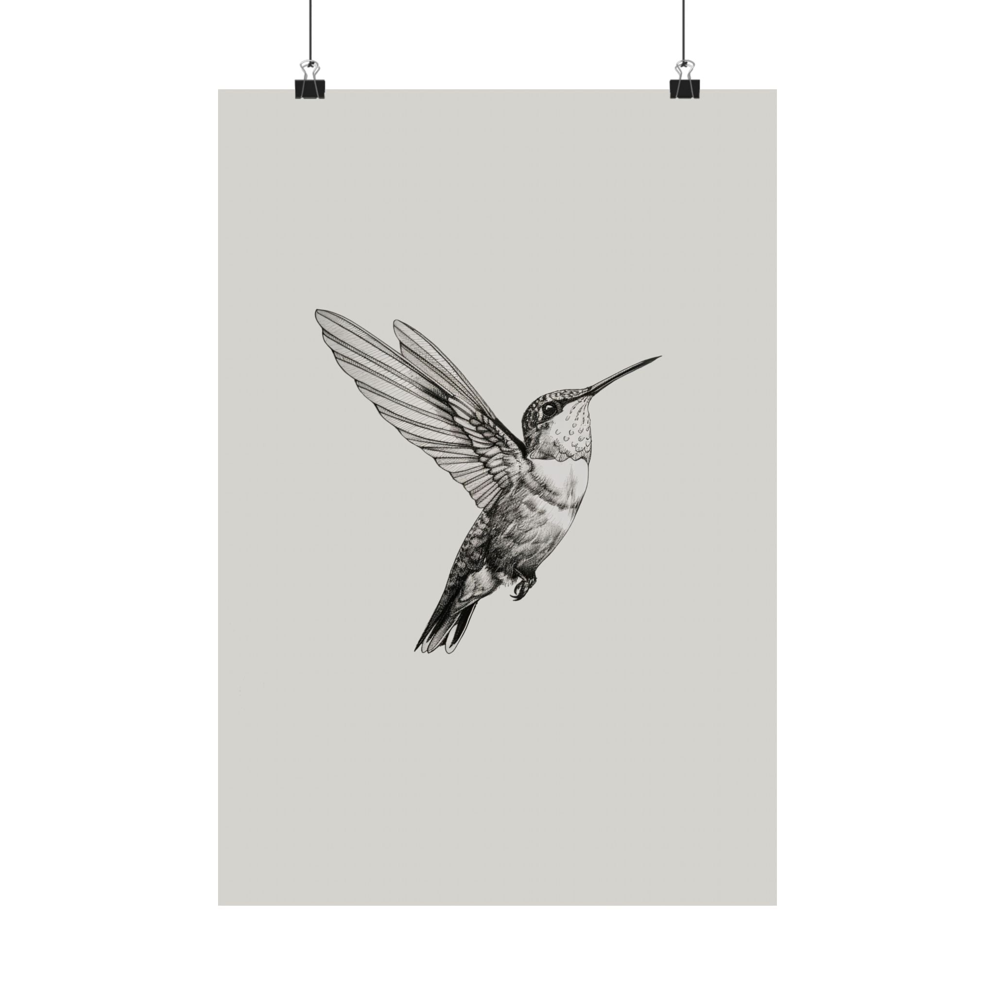 Flying Hummingbird Line Study