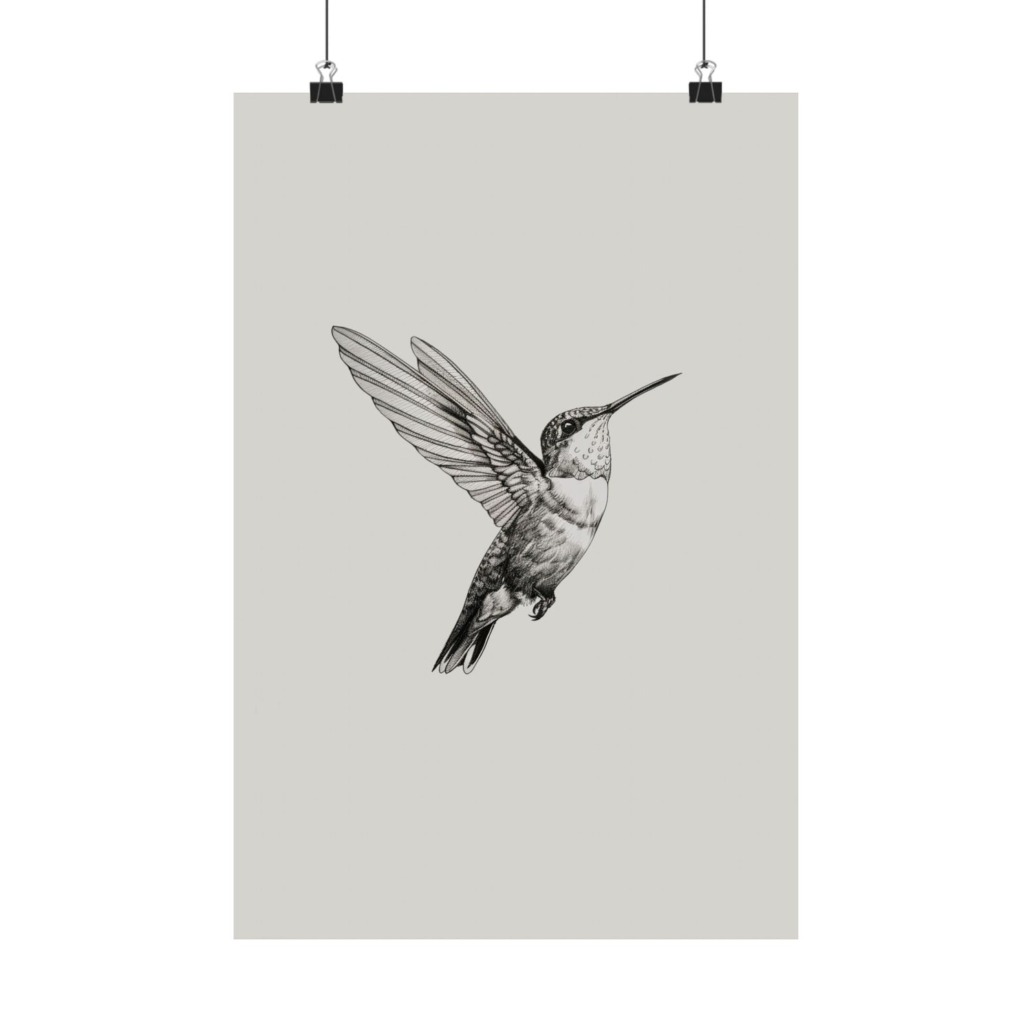 Flying Hummingbird Line Study