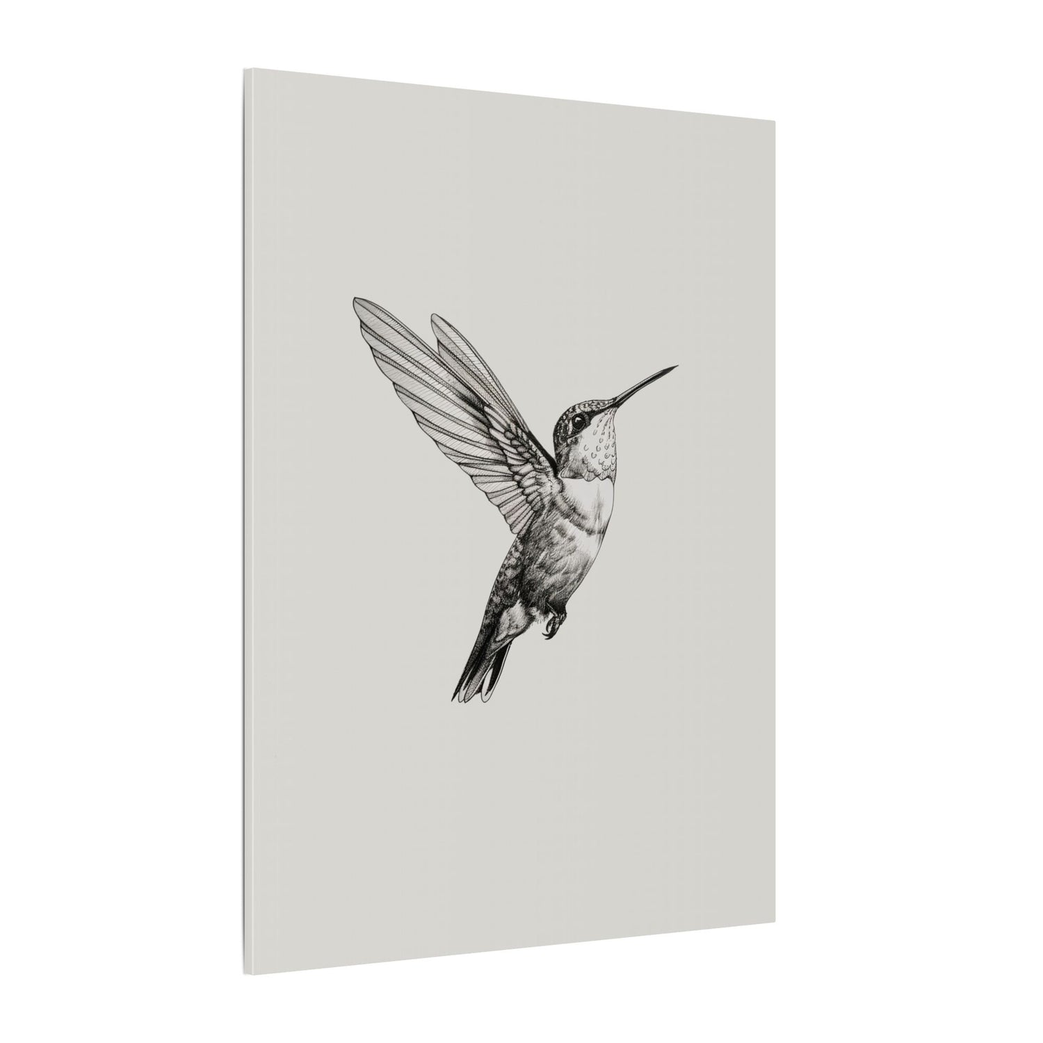 .75" Matte Canvas - Flying Hummingbird Line Study