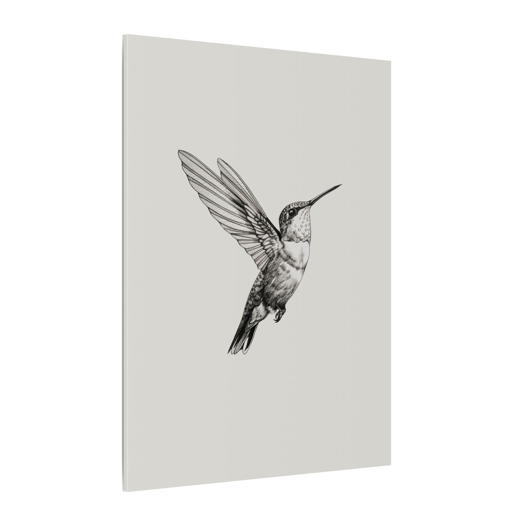 .75" Matte Canvas - Flying Hummingbird Line Study