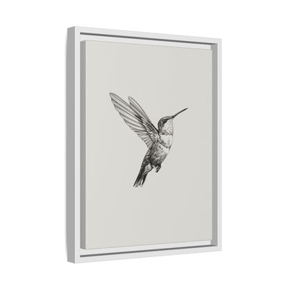 Framed Canvas - Flying Hummingbird Line Study