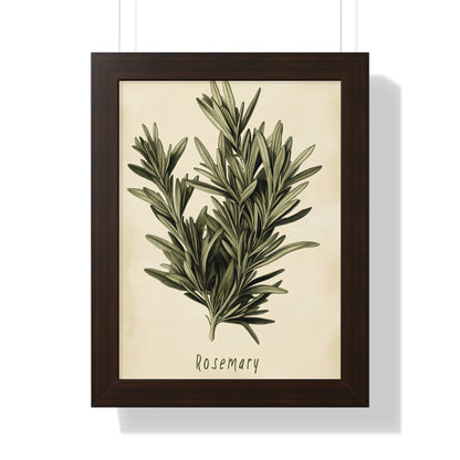 Framed Paper Print - Botanical Rosemary Study