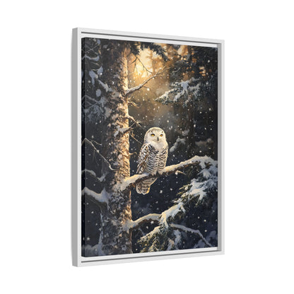 Framed Canvas - Silent Gaze Snow Owl
