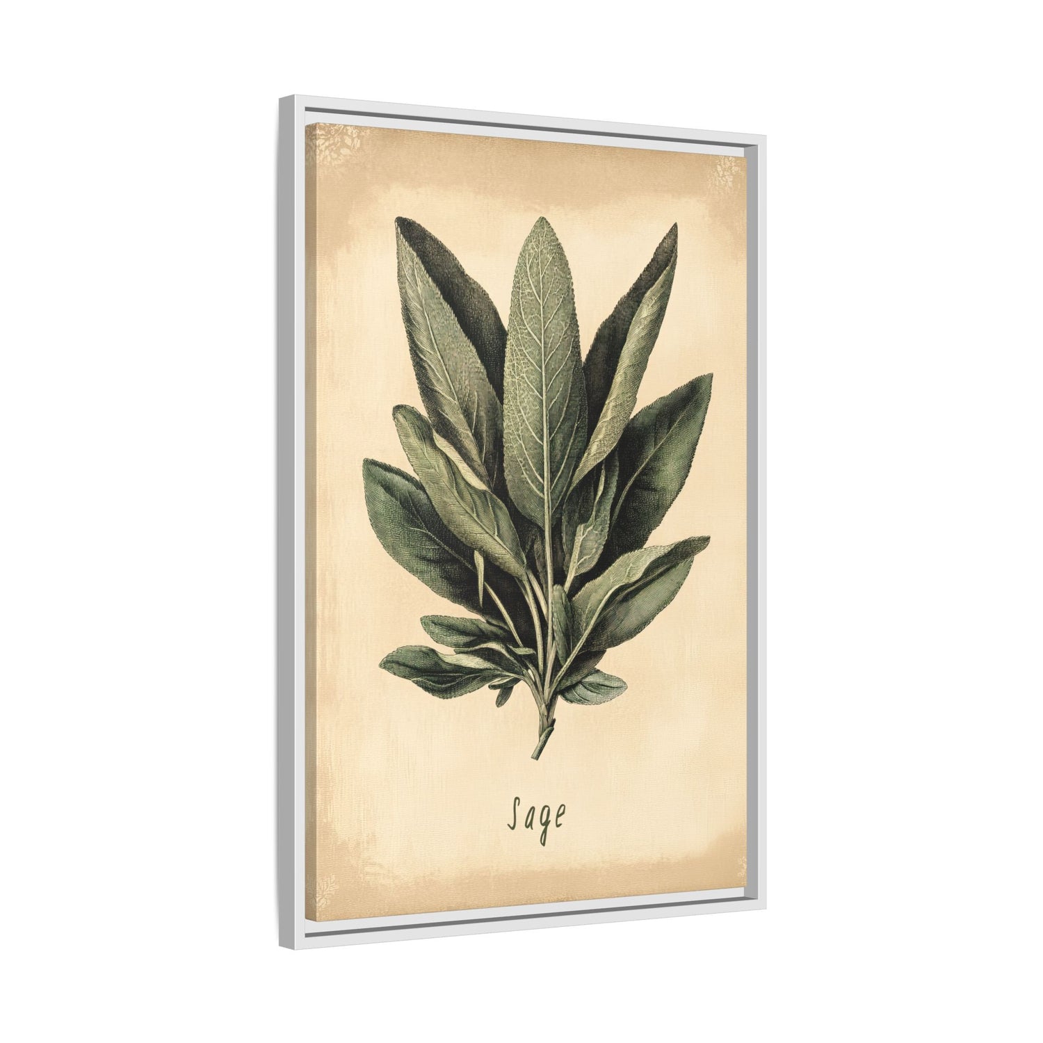 Framed Canvas - Botanical Sage Study