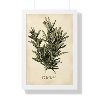 Framed Paper Print - Botanical Rosemary Study