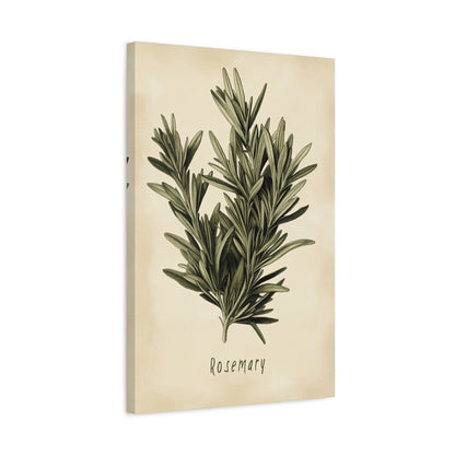 1.25" Matte Canvas - Botanical Rosemary Study