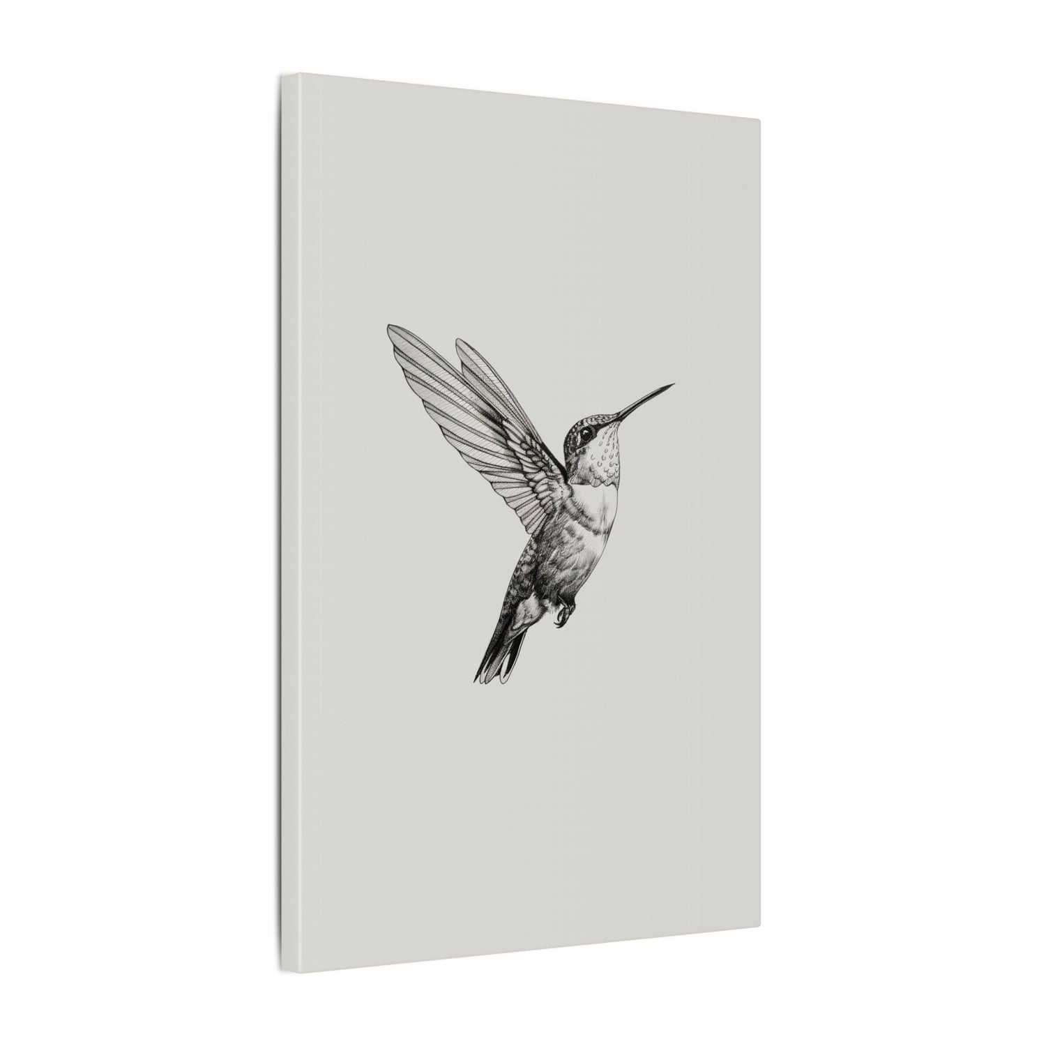 .75" Matte Canvas - Flying Hummingbird Line Study