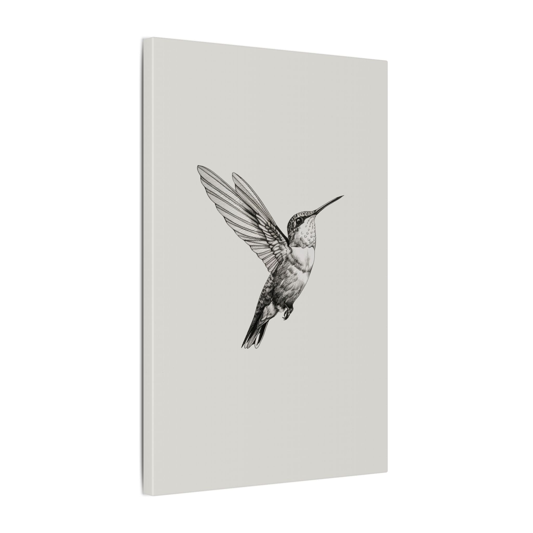 .75" Matte Canvas - Flying Hummingbird Line Study