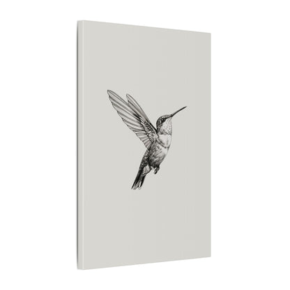 .75" Matte Canvas - Flying Hummingbird Line Study