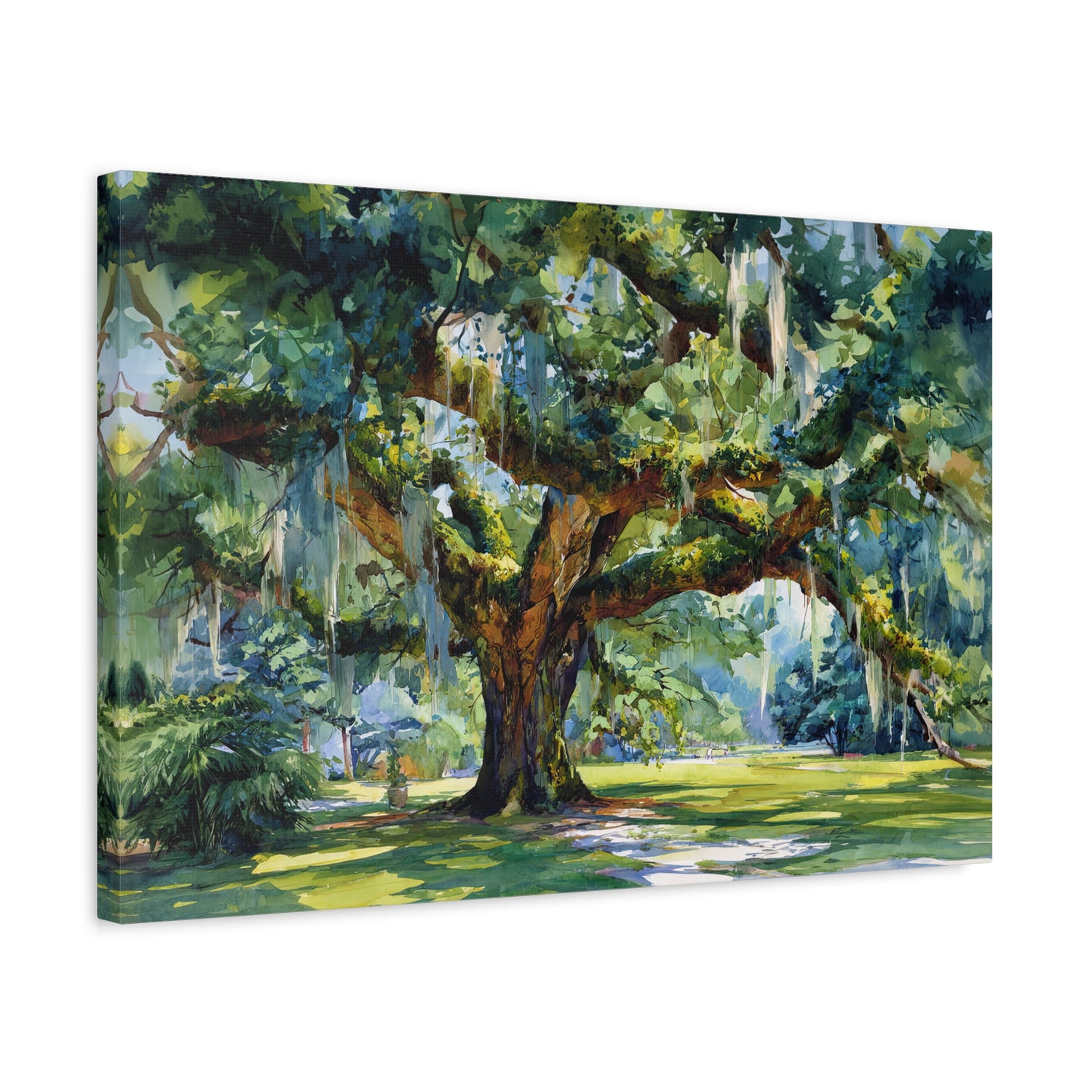 1.25" Matte Canvas - Whispering Southern Live Oak