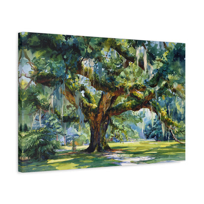 1.25" Matte Canvas - Whispering Southern Live Oak