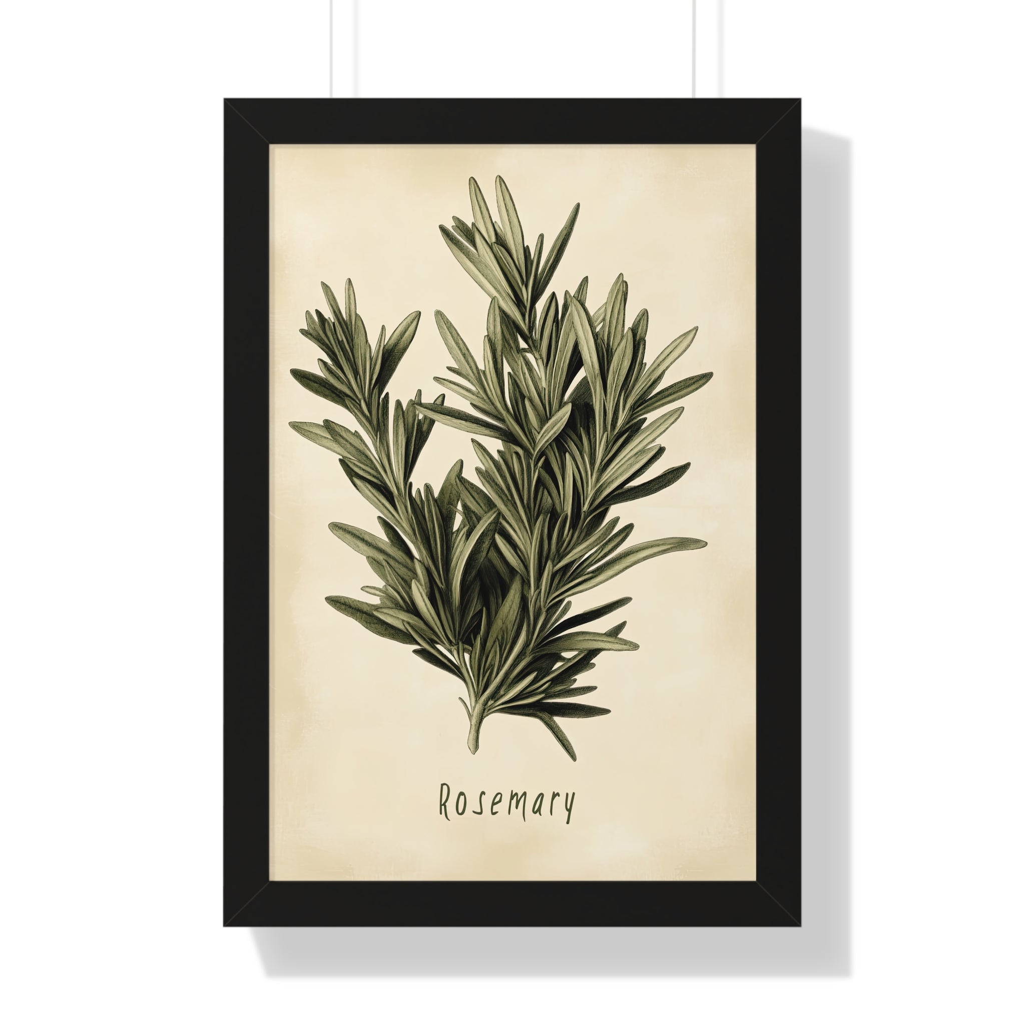 Framed Paper Print - Botanical Rosemary Study