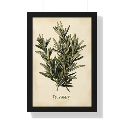 Framed Paper Print - Botanical Rosemary Study