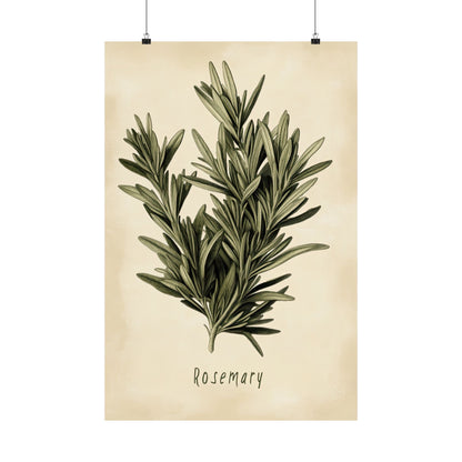 Botanical Rosemary Study