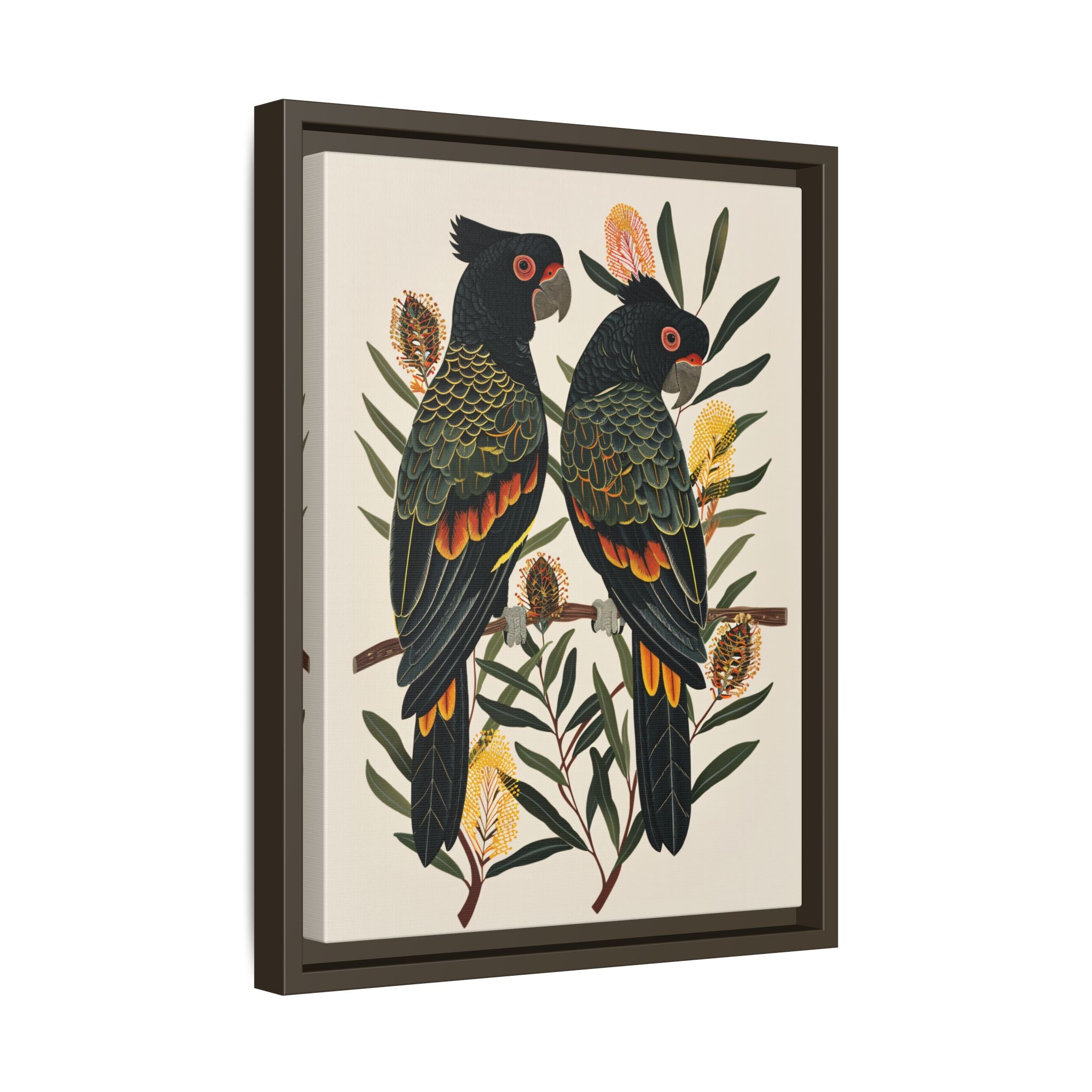 Framed Canvas - Black Cockatoos Among Banksia