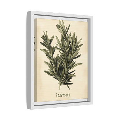 Framed Canvas - Botanical Rosemary Study