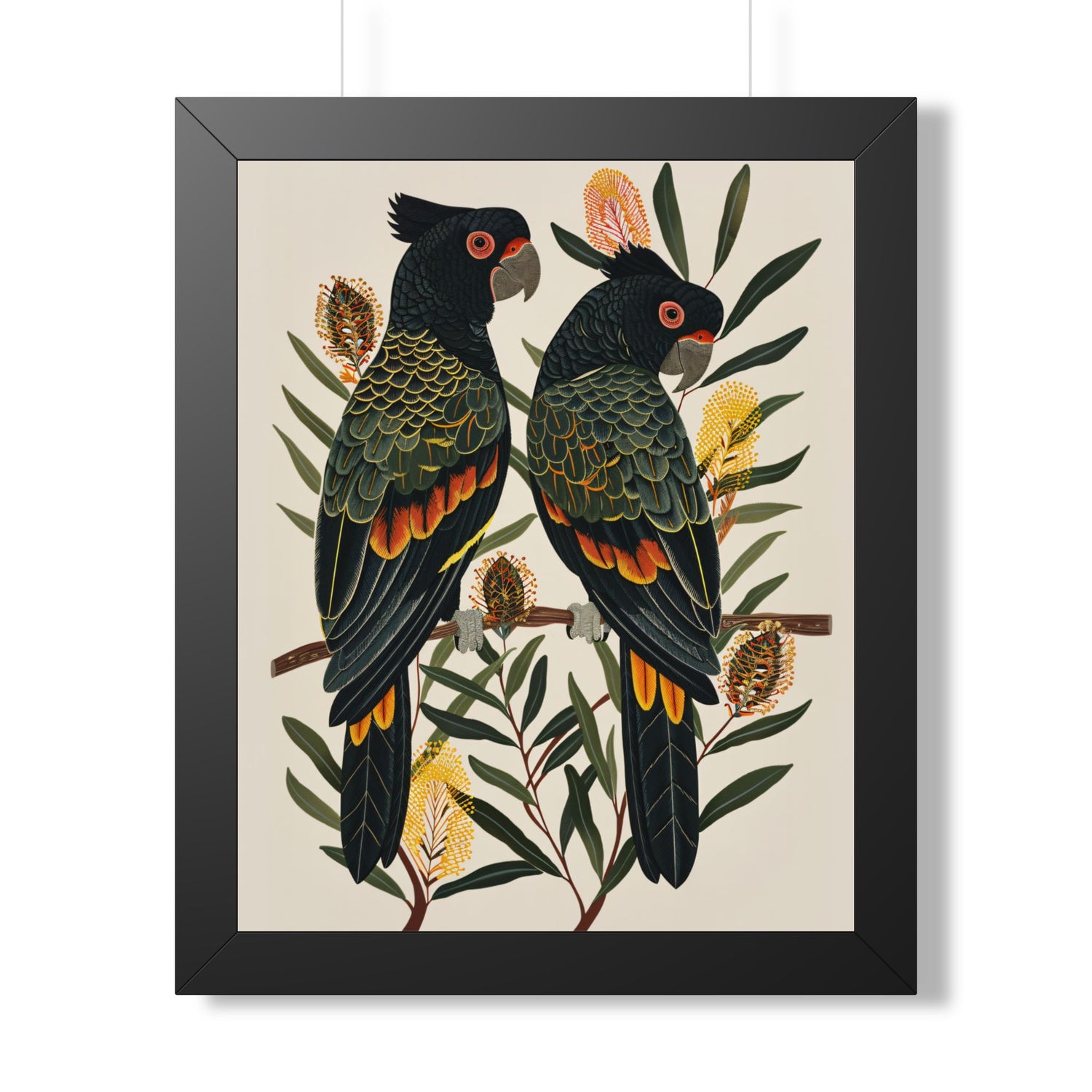 Framed Paper Print - Black Cockatoos Among Banksia