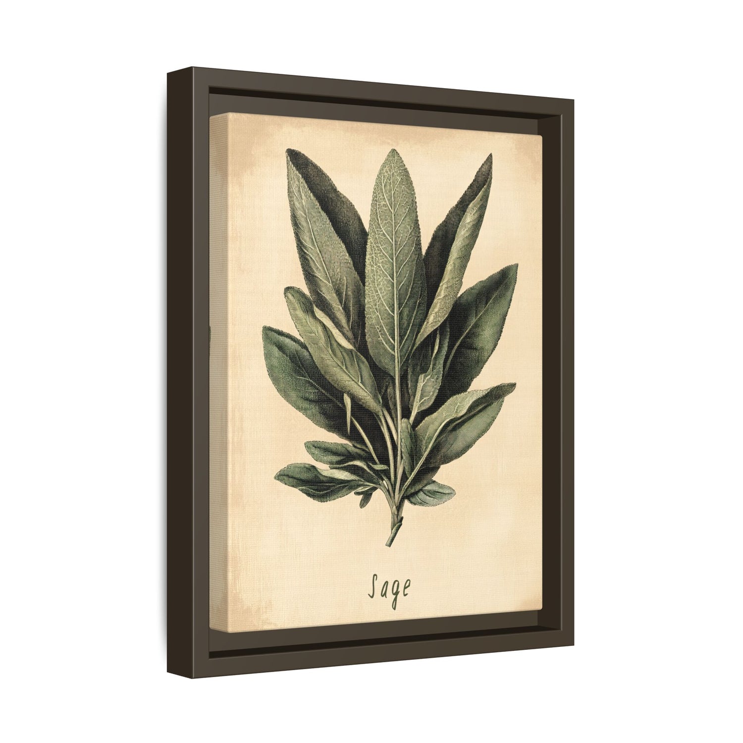 Framed Canvas - Botanical Sage Study