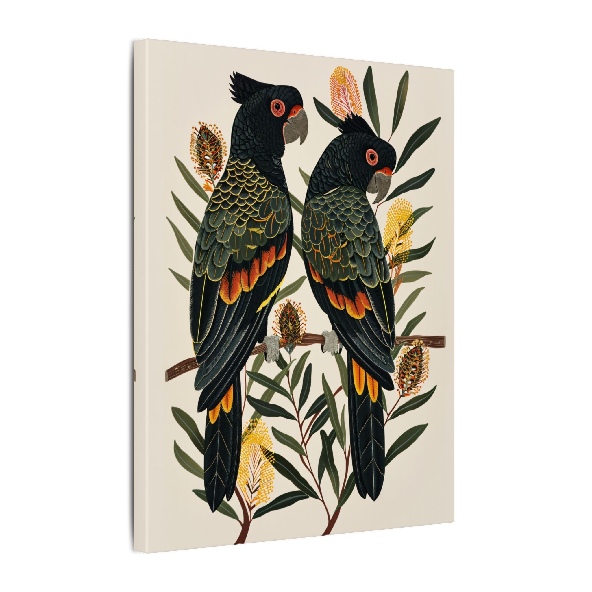 .75" Matte Canvas - Black Cockatoos Among Banksia