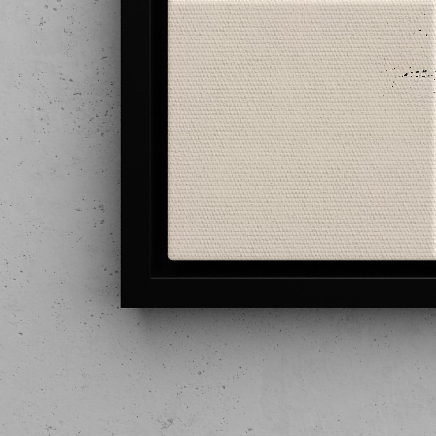 Framed Canvas - Blush Geometry Leafscape