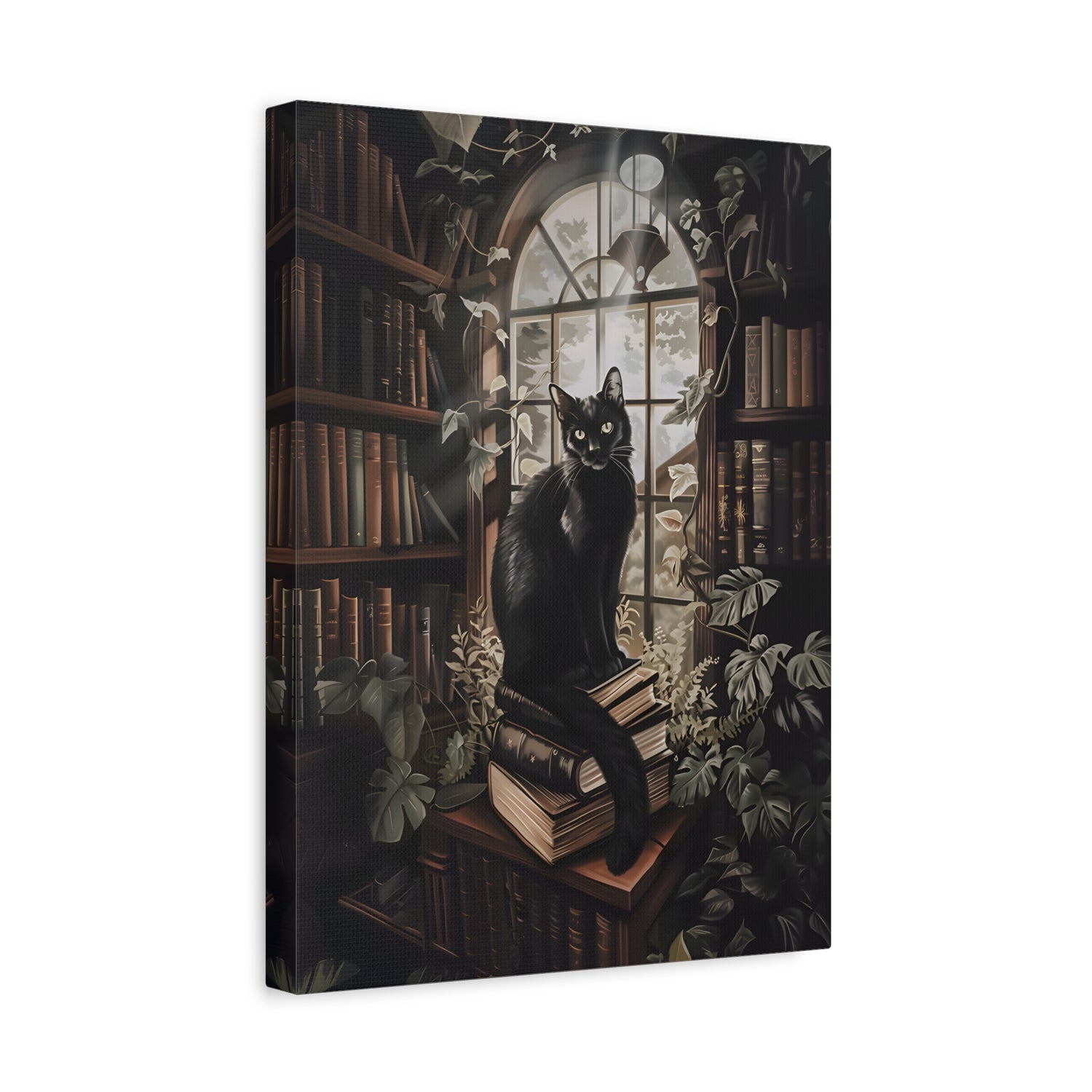 1.25" Matte Canvas - Book Hoarder Feline Gaze