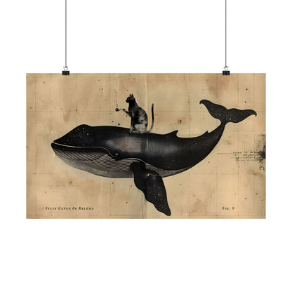 Cat Rides Whale Theory