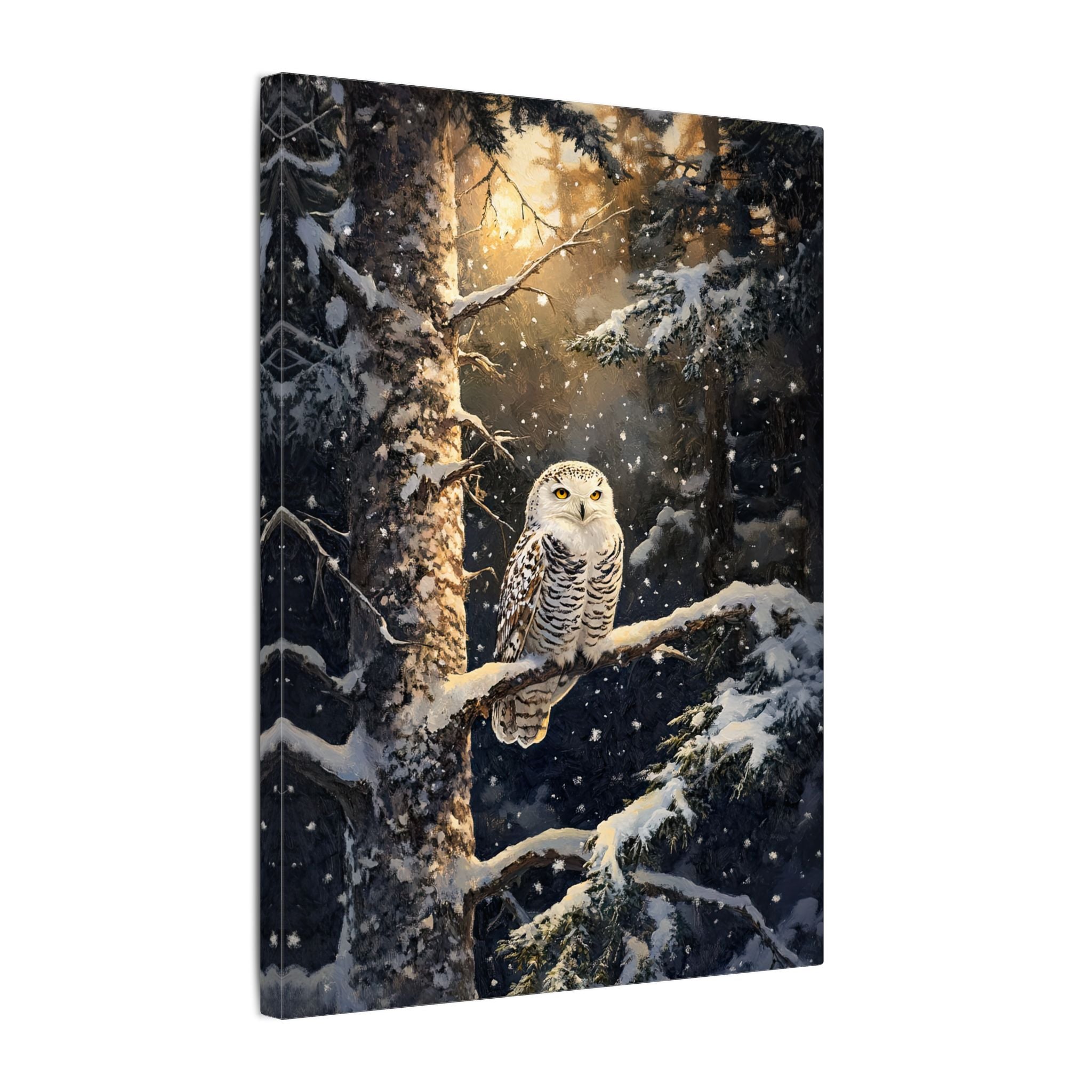 .75" Matte Canvas - Silent Gaze Snow Owl