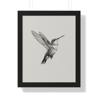 Framed Paper Print - Flying Hummingbird Line Study