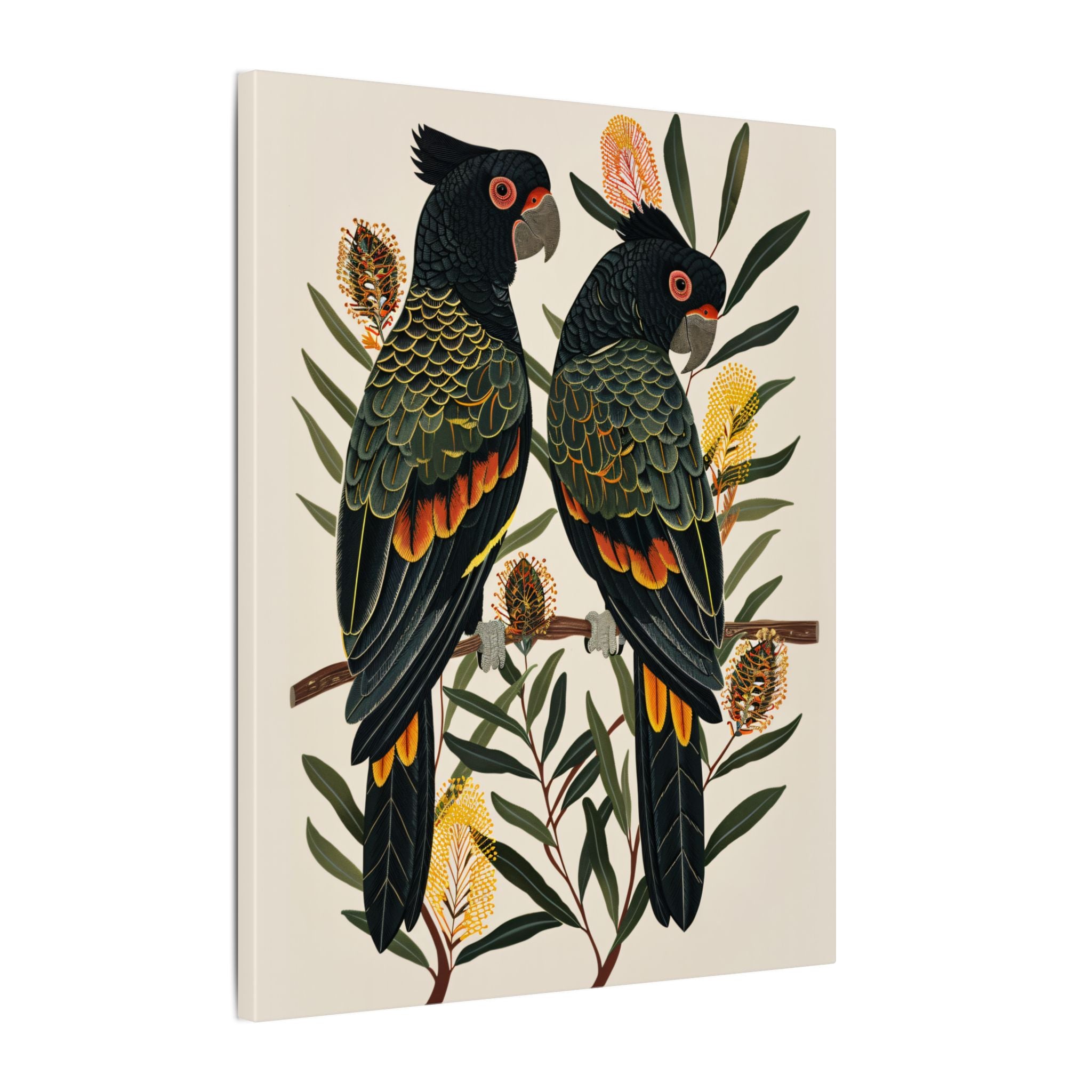 .75" Matte Canvas - Black Cockatoos Among Banksia