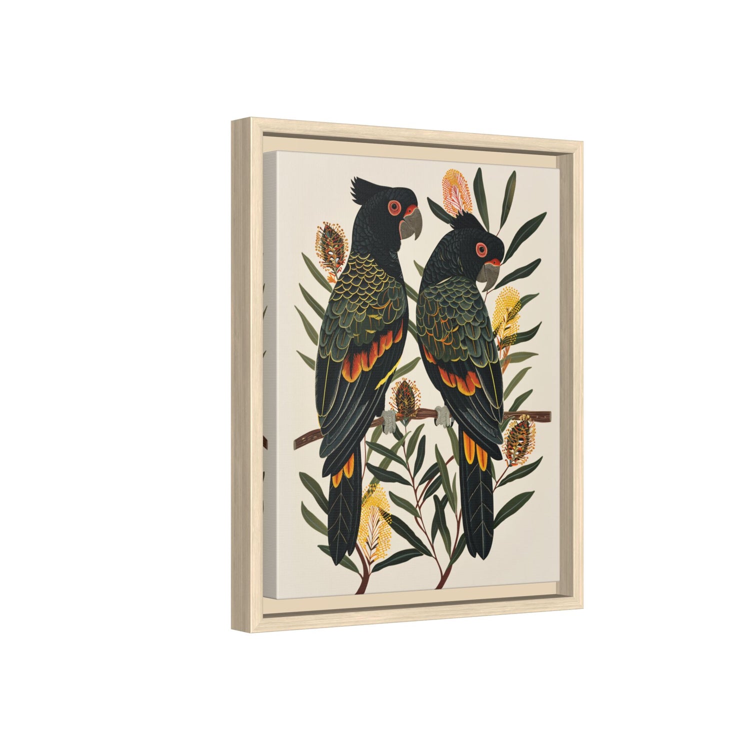 Framed Canvas - Black Cockatoos Among Banksia