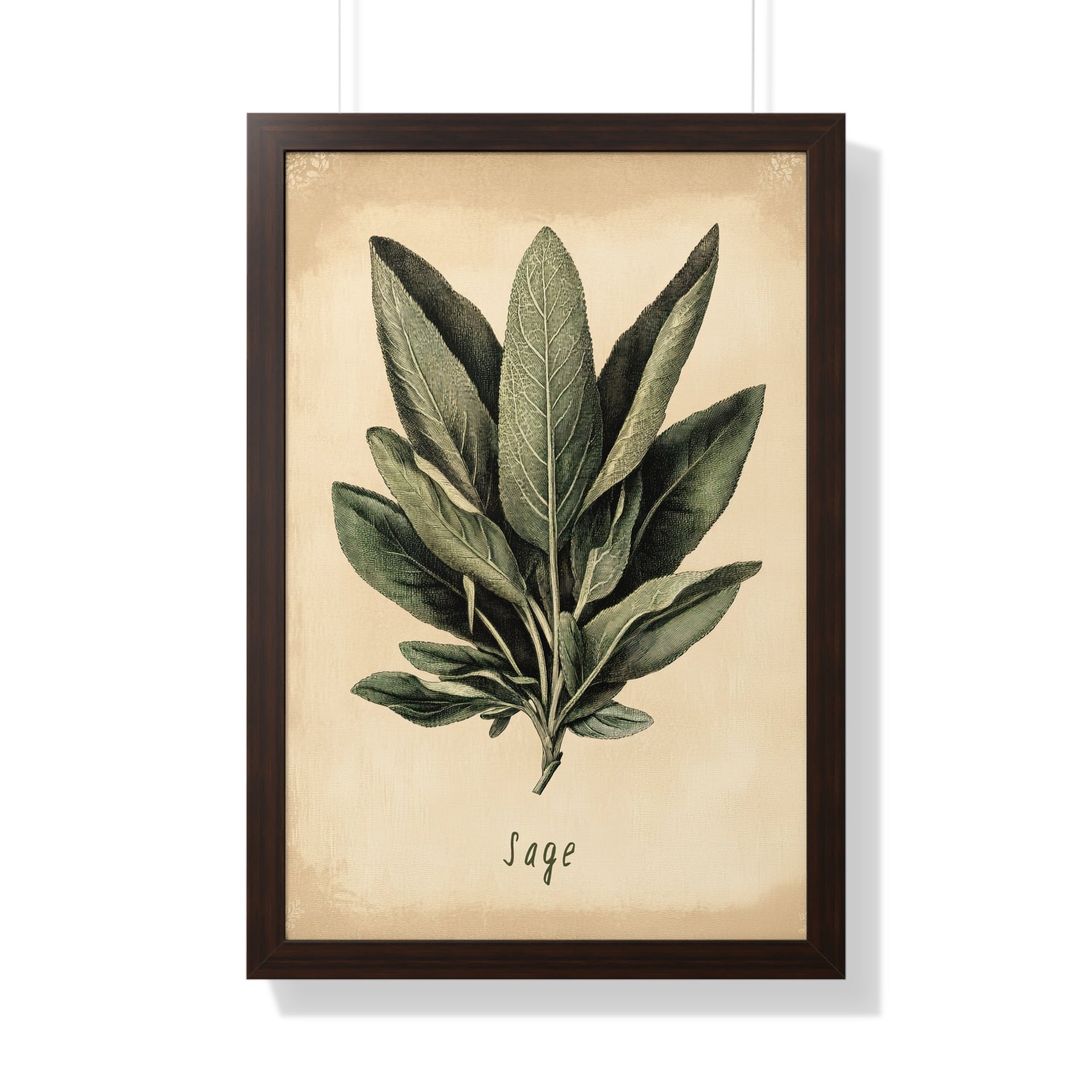 Framed Paper Print - Botanical Sage Study