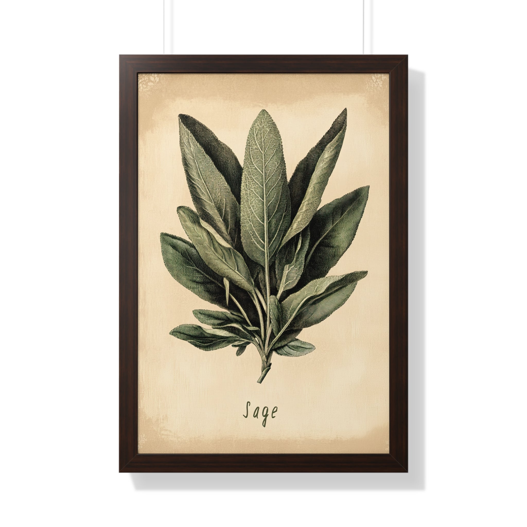 Framed Paper Print - Botanical Sage Study