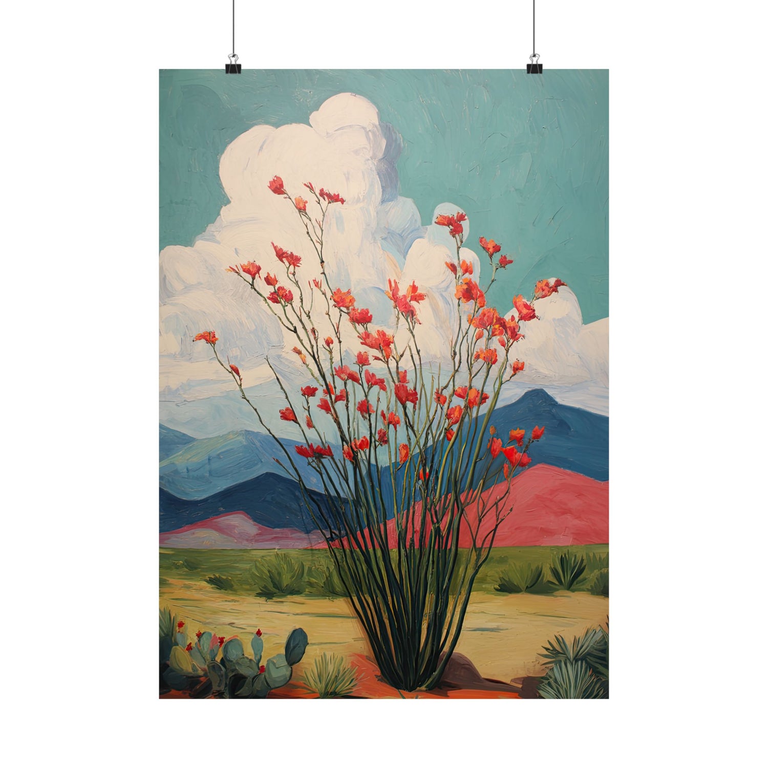 Ocotillo Cactus Desert Bloom