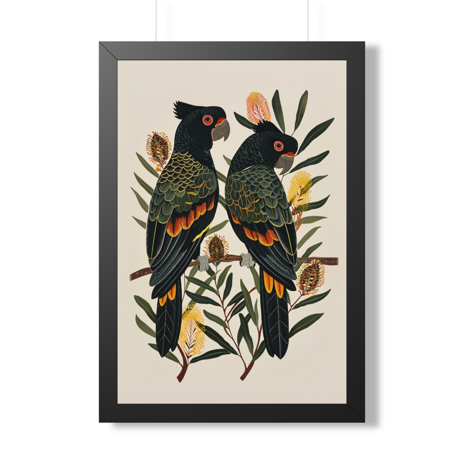 Framed Paper Print - Black Cockatoos Among Banksia