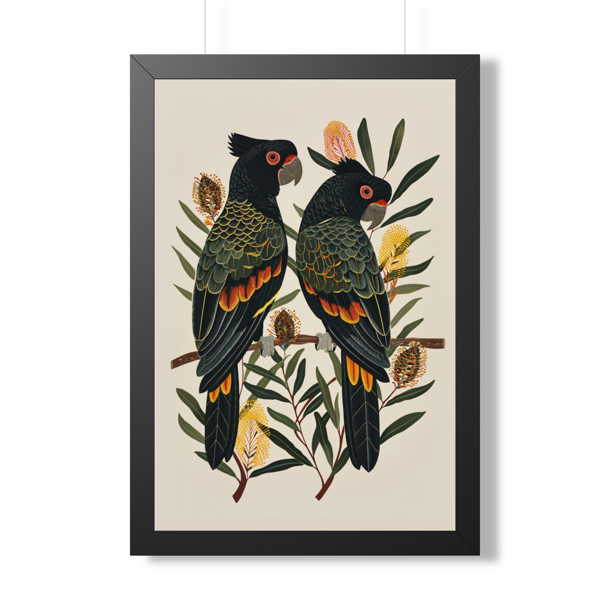Framed Paper Print - Black Cockatoos Among Banksia