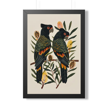 Framed Paper Print - Black Cockatoos Among Banksia