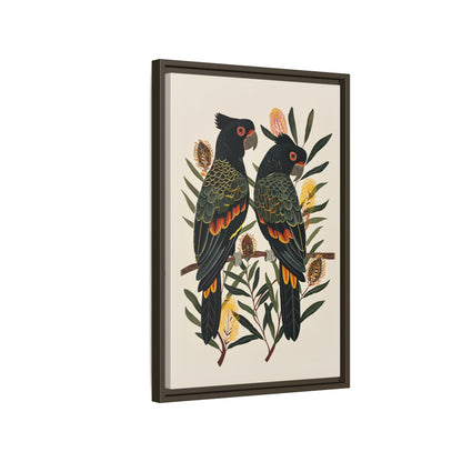Framed Canvas - Black Cockatoos Among Banksia