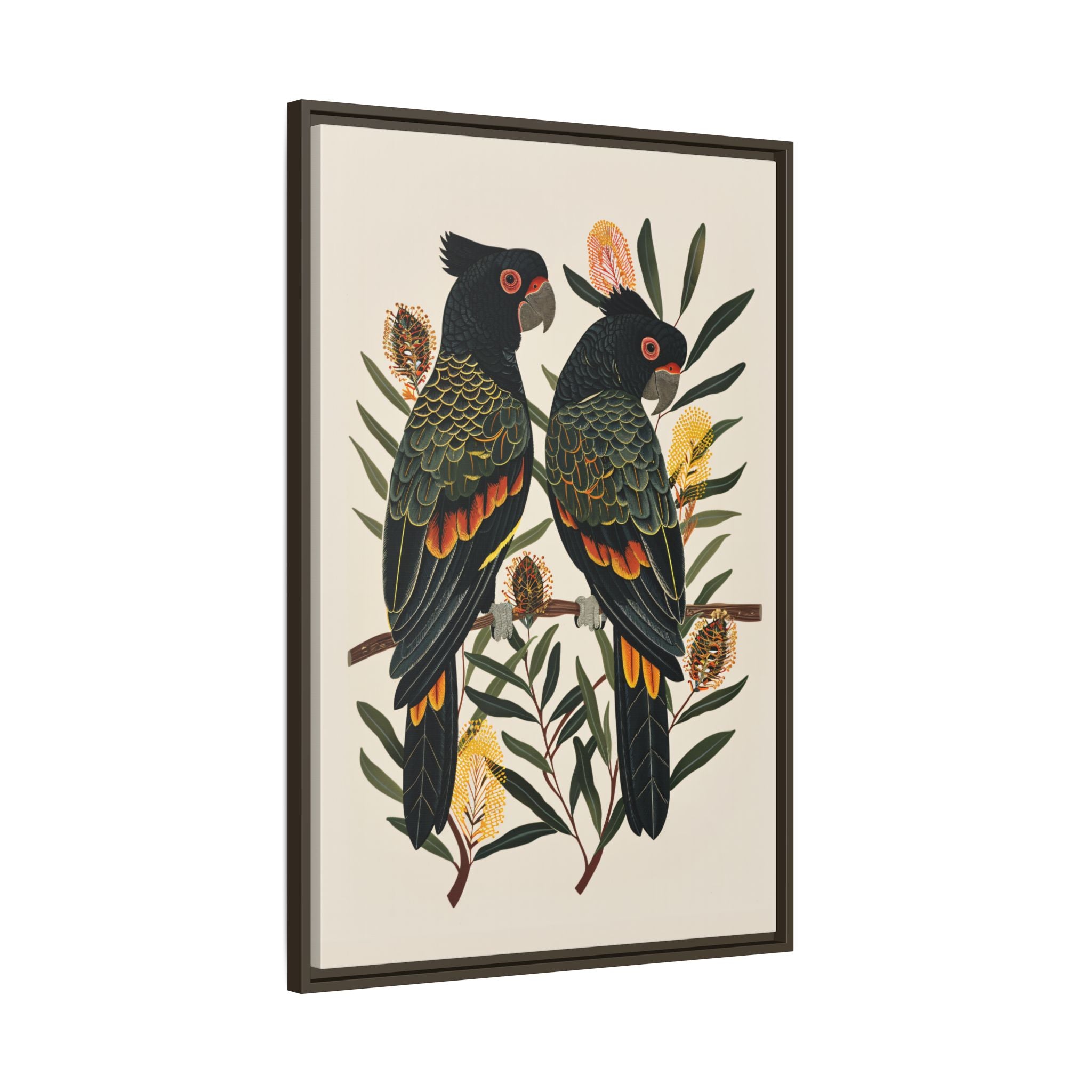Framed Canvas - Black Cockatoos Among Banksia