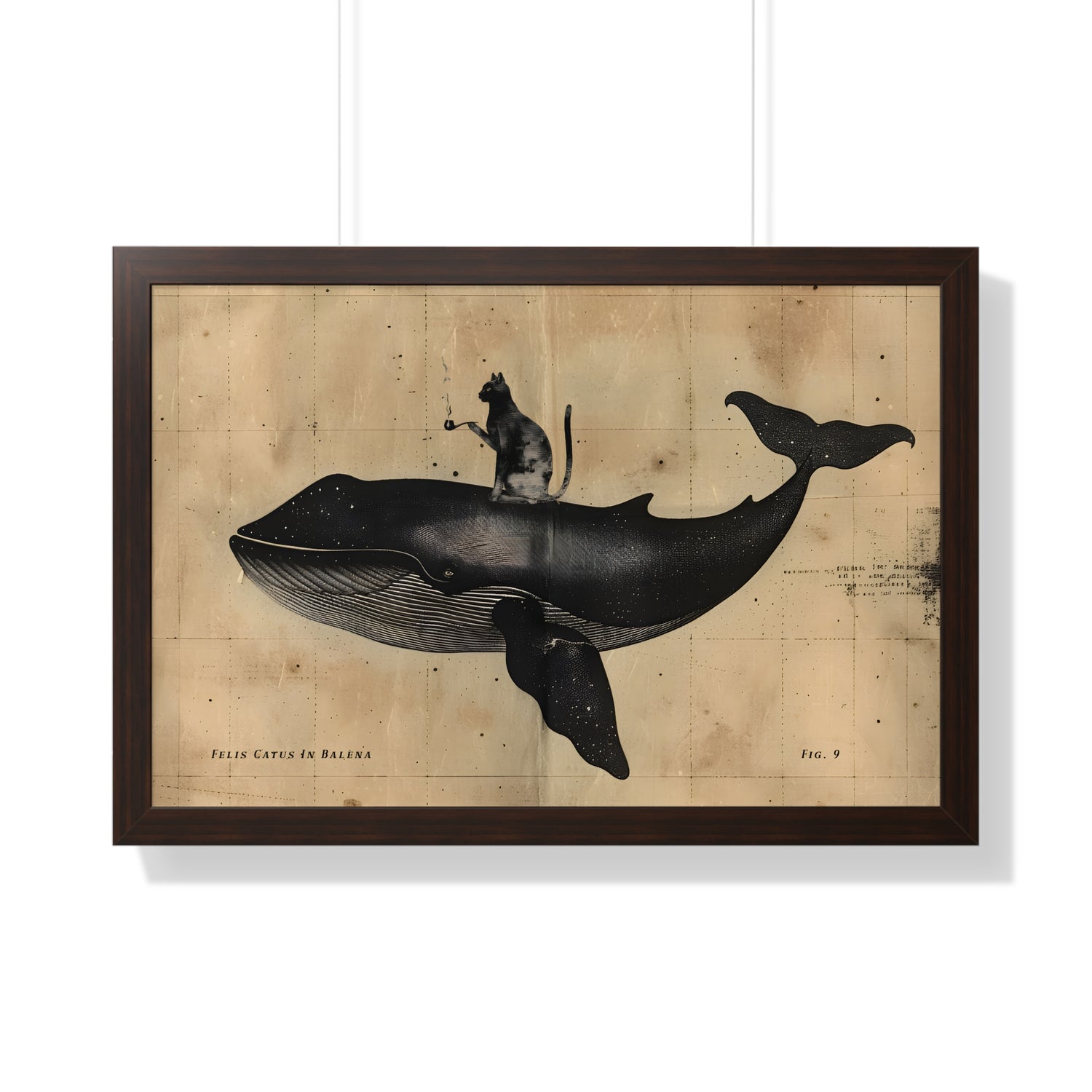 Framed Paper Print - Cat Rides Whale Theory
