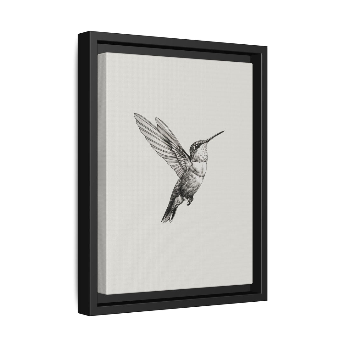 Framed Canvas - Flying Hummingbird Line Study