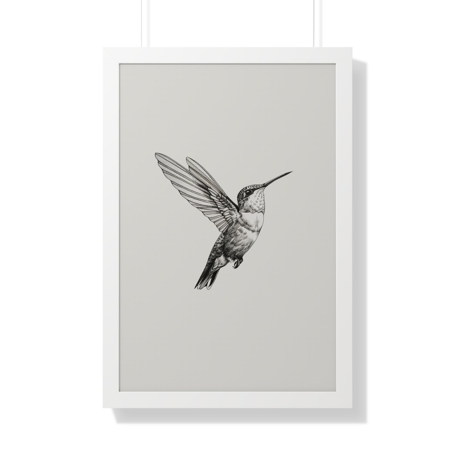 Framed Paper Print - Flying Hummingbird Line Study
