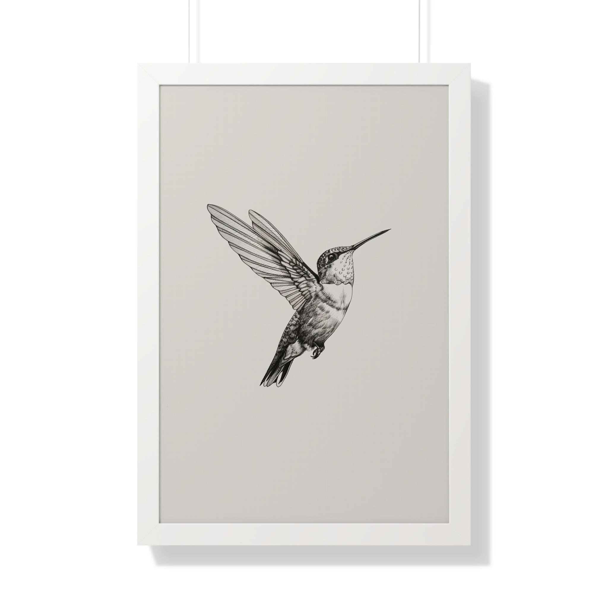 Framed Paper Print - Flying Hummingbird Line Study