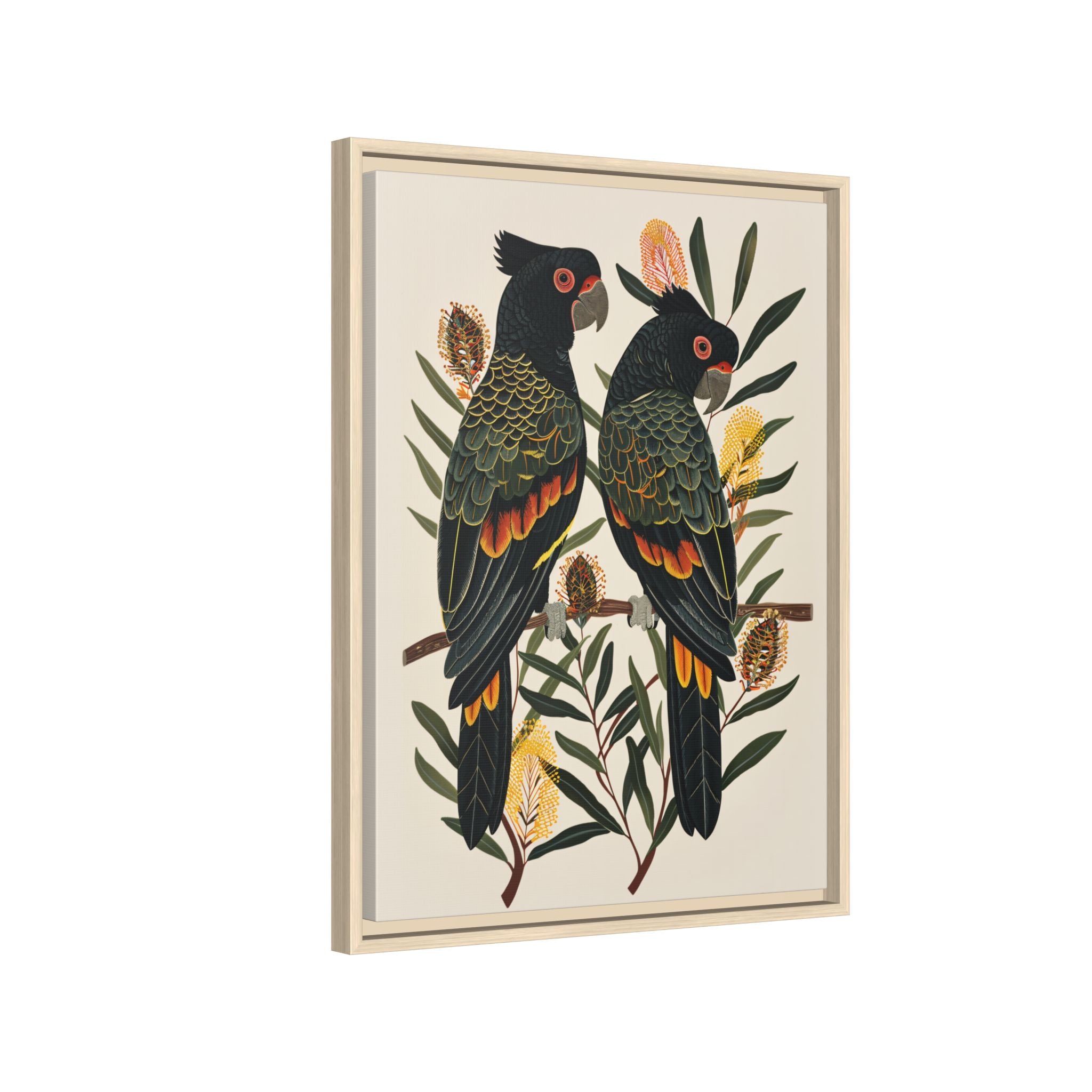 Framed Canvas - Black Cockatoos Among Banksia
