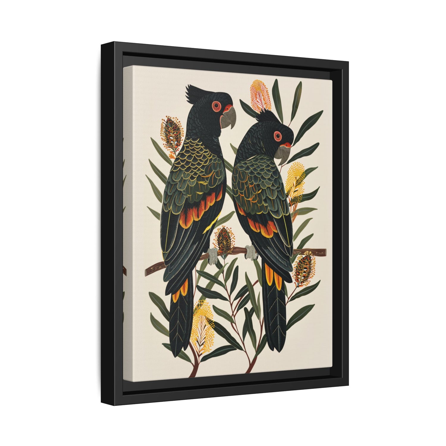 Framed Canvas - Black Cockatoos Among Banksia